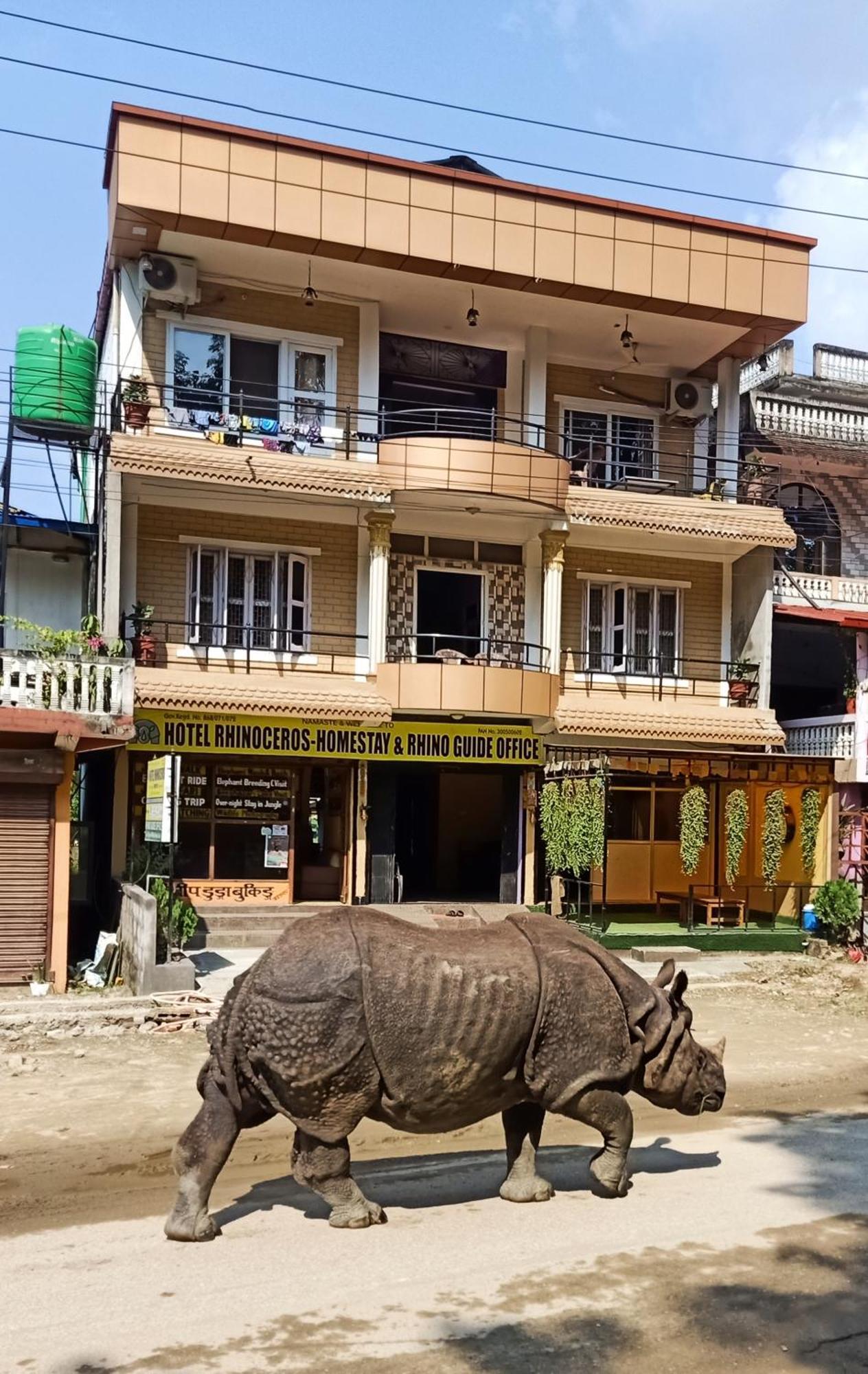 Hotel Rhinoceros-Homestay Sauraha Bagian luar foto