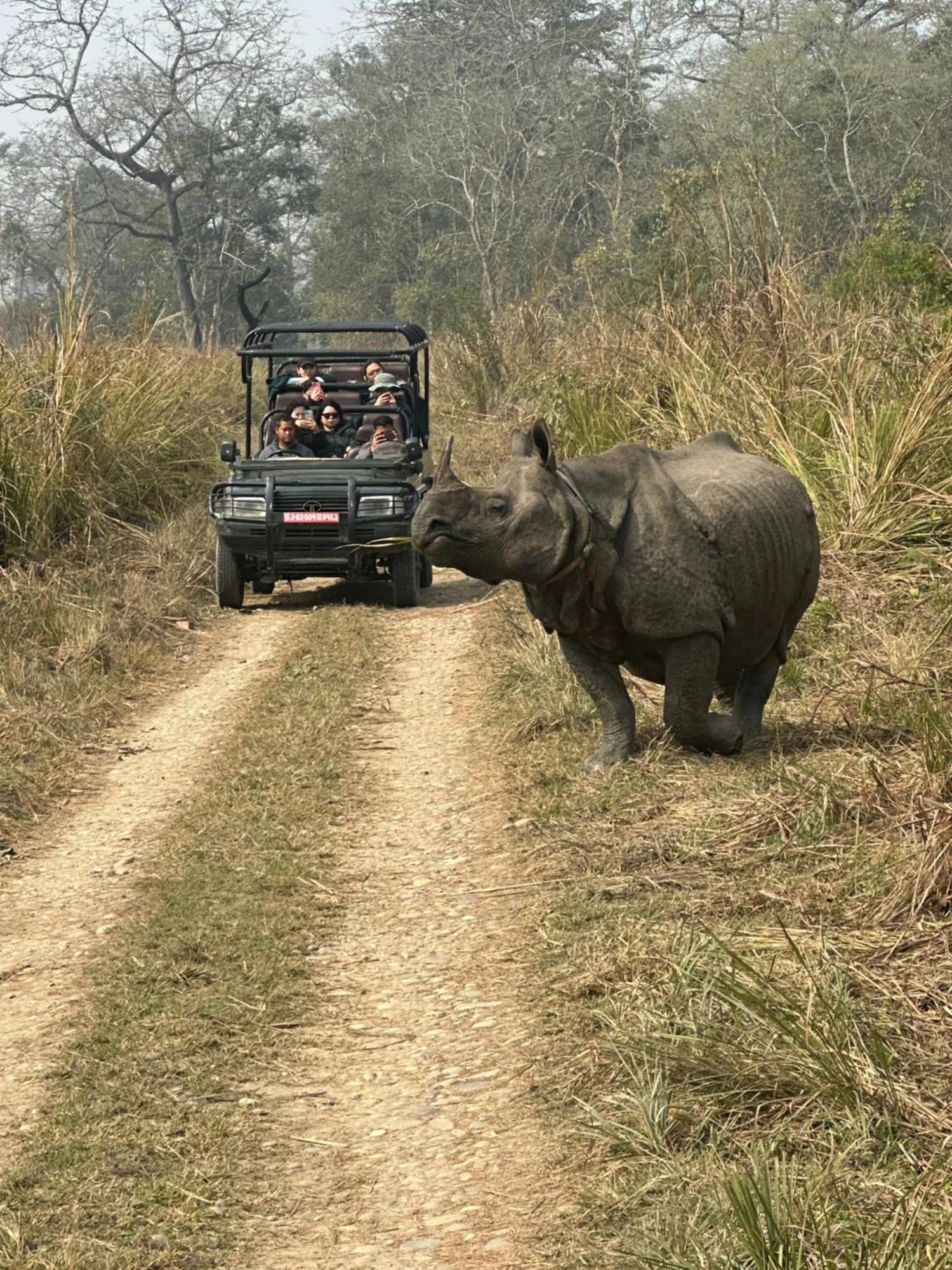 Hotel Rhinoceros-Homestay Sauraha Bagian luar foto