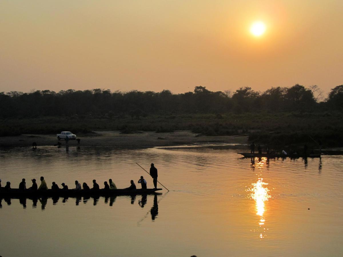 Hotel Rhinoceros-Homestay Sauraha Bagian luar foto