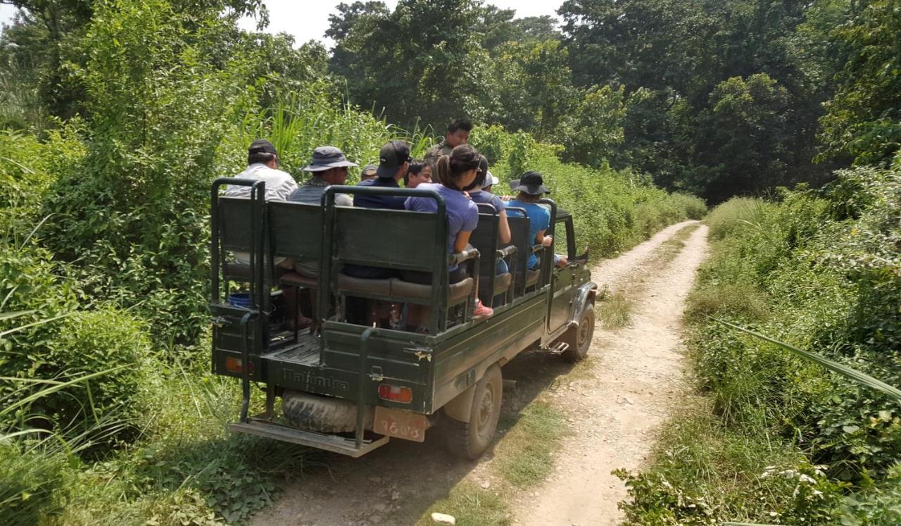 Hotel Rhinoceros-Homestay Sauraha Bagian luar foto