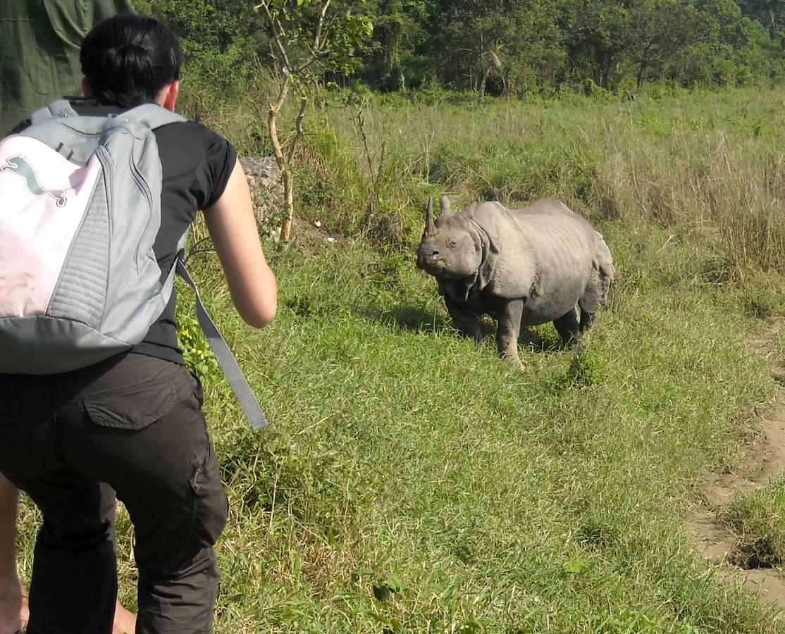 Hotel Rhinoceros-Homestay Sauraha Bagian luar foto